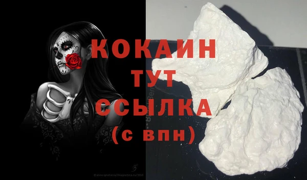 Альфа ПВП Белая Холуница
