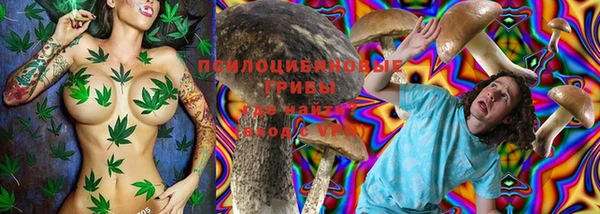 apvp Бежецк