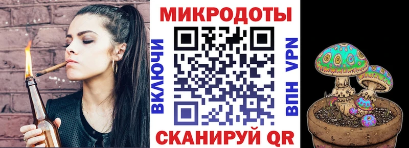 Галлюциногенные грибы Psilocybe  Торжок 
